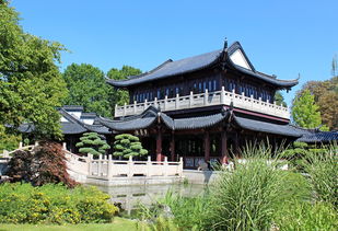 康县中餐厅品牌大盘点