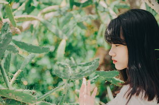 汉服之美，摄影之艺