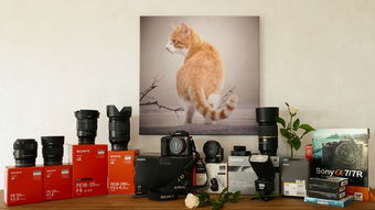 全案软装品牌展厅