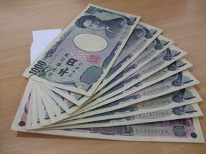 内衣品牌包装袋的设计与创新