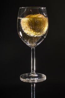 探秘品牌潜水杯—你的水下探险好伙伴！