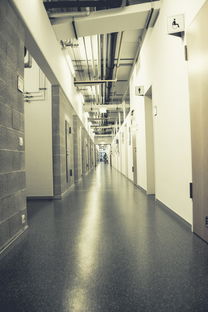 湖南学校防静电地板品牌精选与案例分析