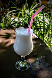 质量上乘的白酒品牌解析