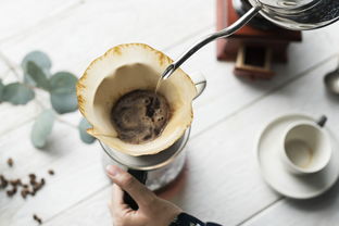 为什么选择奶茶品牌行业？看我一一揭秘这背后的原因