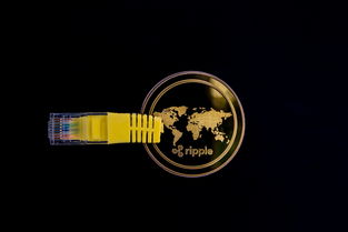 探索厨具世界，勺子的多样选择与实用指南