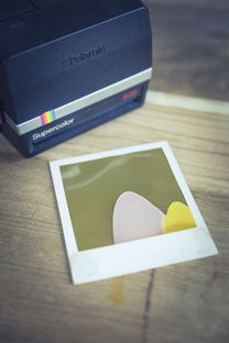 积木相机品牌，创新科技与个性化摄影的完美结合