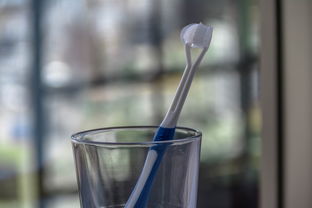 揭秘美术专用牙刷品牌—为艺术家们量身定制的口腔护理神器