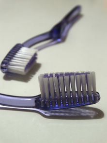 揭秘美术专用牙刷品牌—为艺术家们量身定制的口腔护理神器