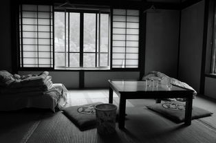 日本榻榻米厨房地板品牌介绍