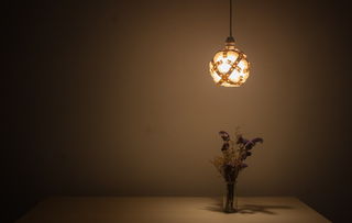 国内家用灯具品牌比较指南