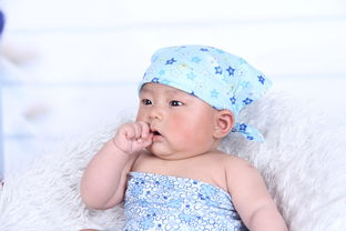 婴儿安抚奶嘴世喜品牌深度解析