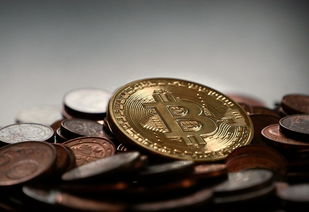 品牌童装折扣分货全解析