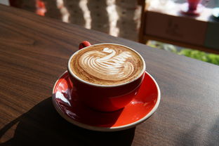 奶茶品牌和种类大盘点