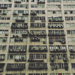 贵港墙面涂料品牌厂家深度解析，品质、案例与选择之道