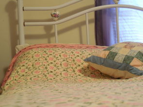 挖掘机睡眠枕头推荐品牌大解析